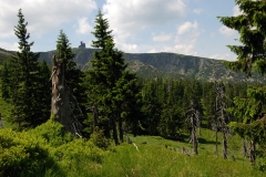 20180601_Karkonosze_11