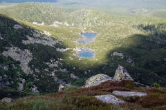 20180601_Karkonosze_15