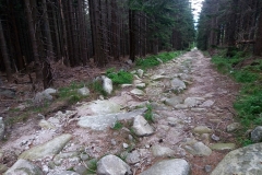 20180601_Karkonosze_29
