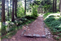 20180601_Karkonosze_3