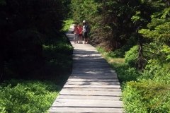 20180601_Karkonosze_8