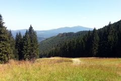 20180804_Hala_Miziowa