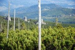 20181006_Karkonosze_09