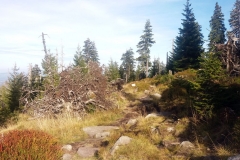 20181006_Karkonosze_24