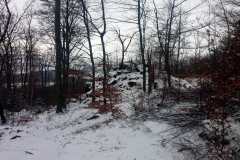 20190126_Sleza_Olbrzymki_1