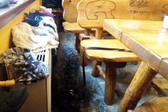 20190126_Sleza_Olbrzymki_13