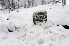 20190126_Sleza_Olbrzymki_14