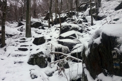 20190126_Sleza_Olbrzymki_3