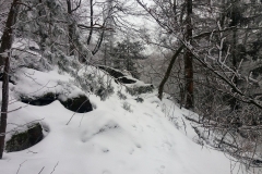 20190126_Sleza_Olbrzymki_4