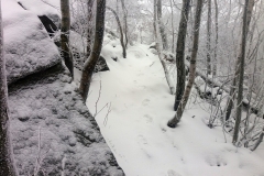 20190126_Sleza_Olbrzymki_5
