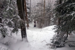 20190126_Sleza_Olbrzymki_7