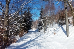 20190205_Mala_Sowa_1