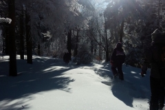 20190205_Mala_Sowa_10
