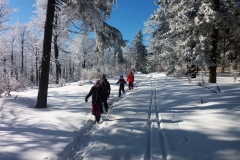 20190205_Mala_Sowa_12