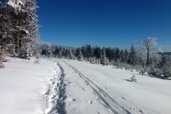 20190205_Mala_Sowa_13