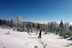 20190205_Mala_Sowa_14