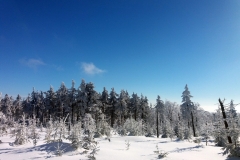 20190205_Mala_Sowa_16