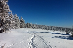 20190205_Mala_Sowa_17