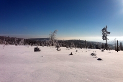 20190205_Mala_Sowa_18