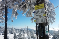 20190205_Mala_Sowa_19