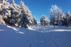 20190205_Mala_Sowa_20