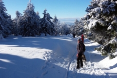 20190205_Mala_Sowa_21