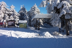 20190205_Mala_Sowa_23