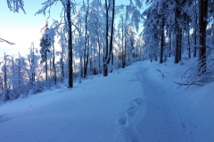 20190205_Mala_Sowa_24