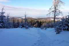 20190205_Mala_Sowa_25