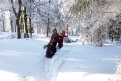 20190205_Mala_Sowa_3