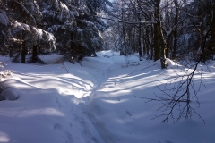 20190205_Mala_Sowa_4