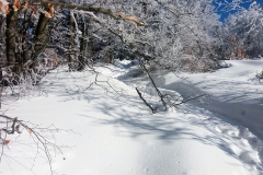 20190205_Mala_Sowa_5