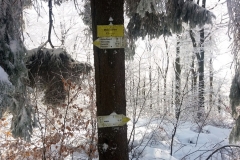 20190205_Mala_Sowa_7