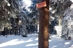20190205_Mala_Sowa_8
