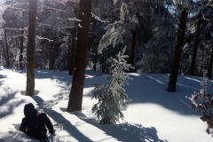 20190205_Mala_Sowa_9