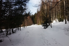 20190207_Samotnia_1