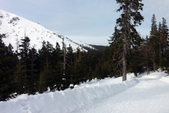 20190207_Samotnia_15