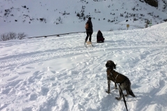 20190207_Samotnia_22