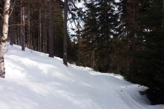 20190207_Samotnia_4