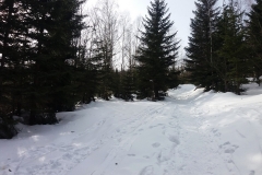 20190207_Samotnia_6