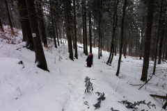 20190208_Wlodzicka_Gora_4