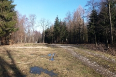 20190223_Kaczawskie_5