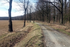 20190317_Oleszenskie_1