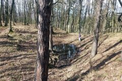 20190317_Oleszenskie_3