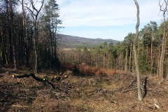20190317_Oleszenskie_4