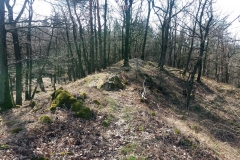 20190317_Oleszenskie_8