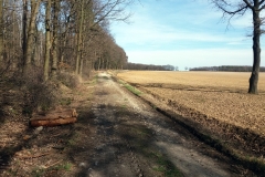 20190317_Oleszenskie_9