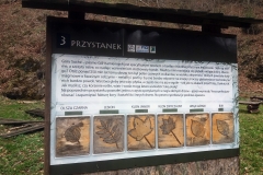 20190406_Suche_13