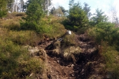 20190406_Suche_5