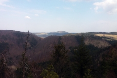 20190406_Suche_7